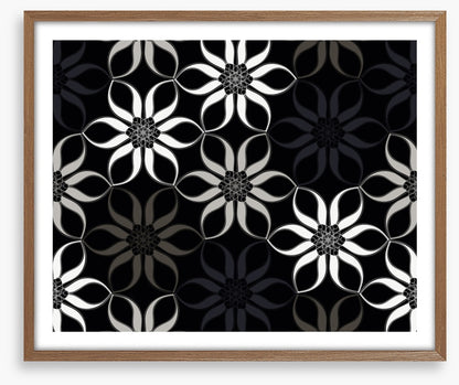 Shadow blooms