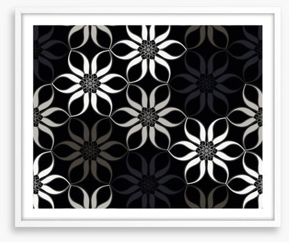 Shadow blooms