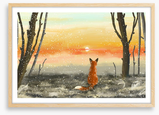 Golden sunset fox