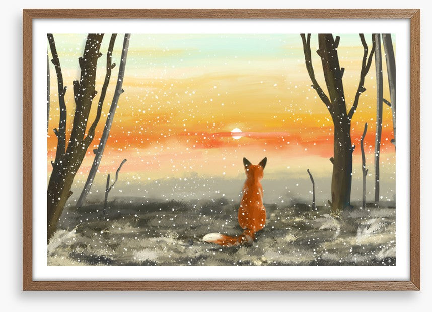 Golden sunset fox