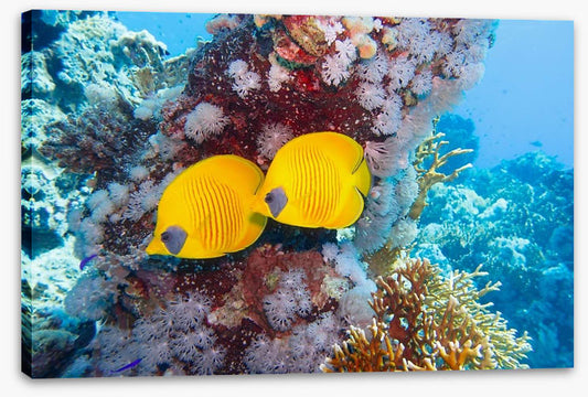 Hiding together