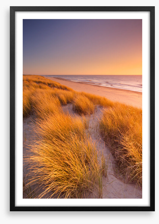Golden grass sundown