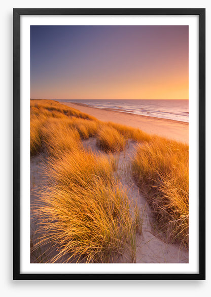 Golden grass sundown