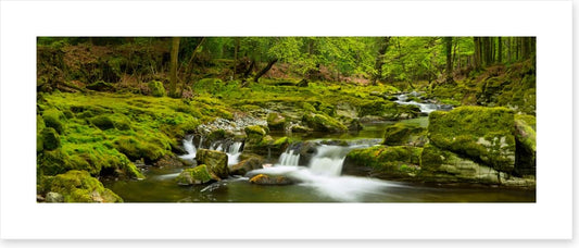 Green rock river