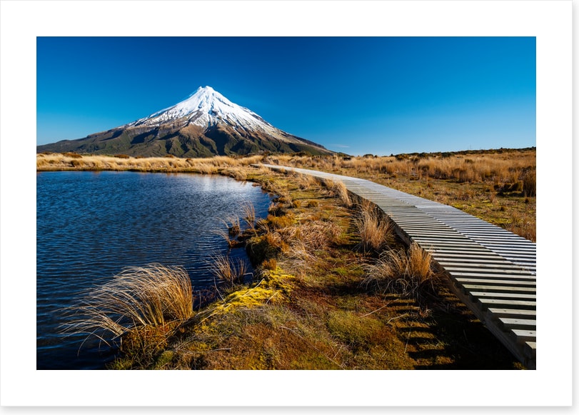 Track to Mt. Taranaki