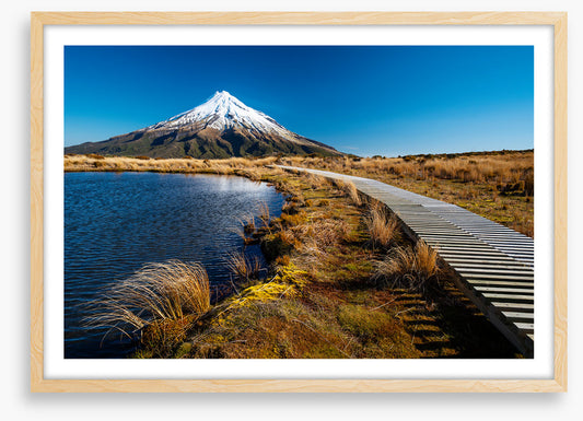 Track to Mt. Taranaki