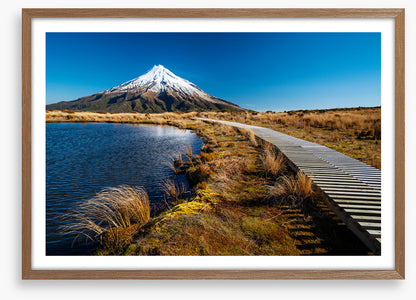 Track to Mt. Taranaki