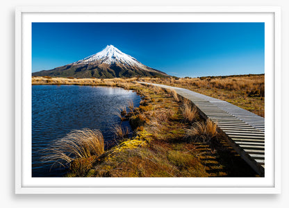 Track to Mt. Taranaki