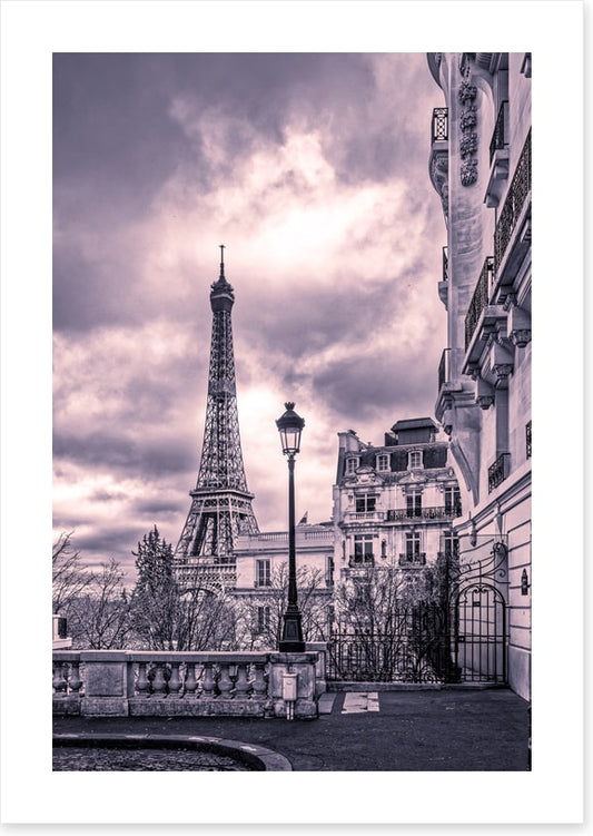 Purples of Paris