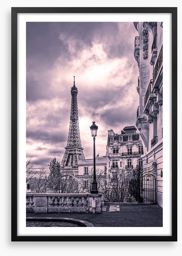 Purples of Paris