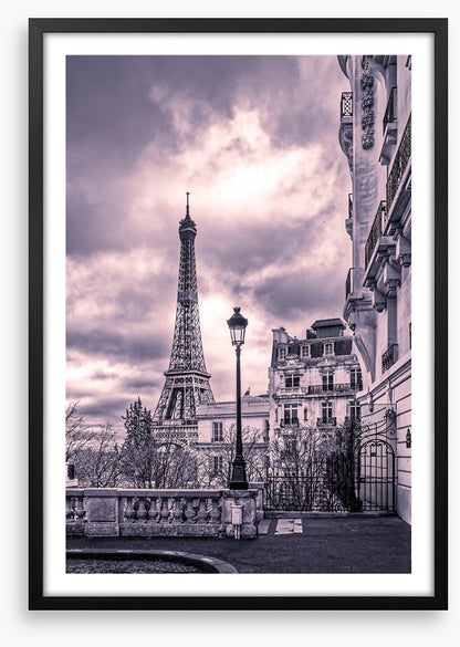 Purples of Paris