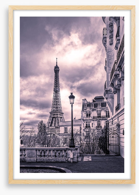 Purples of Paris