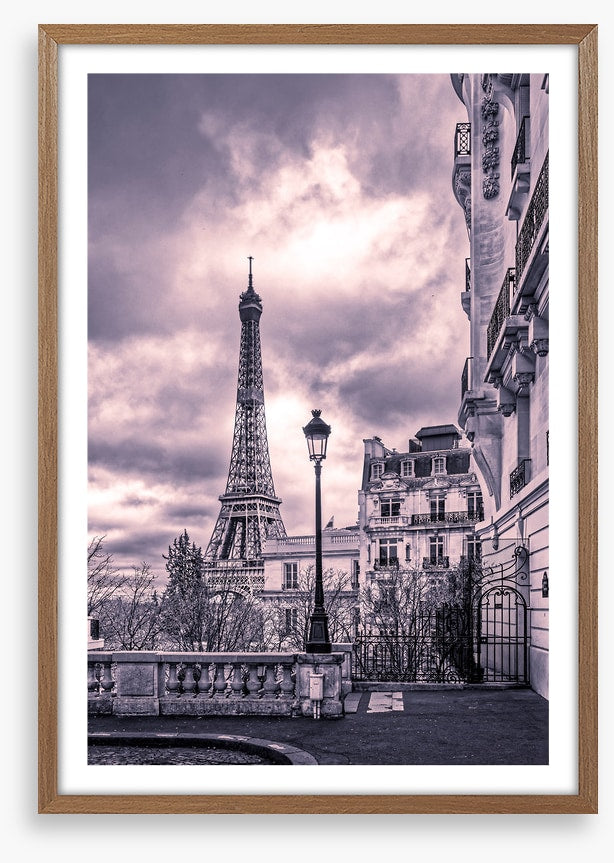 Purples of Paris