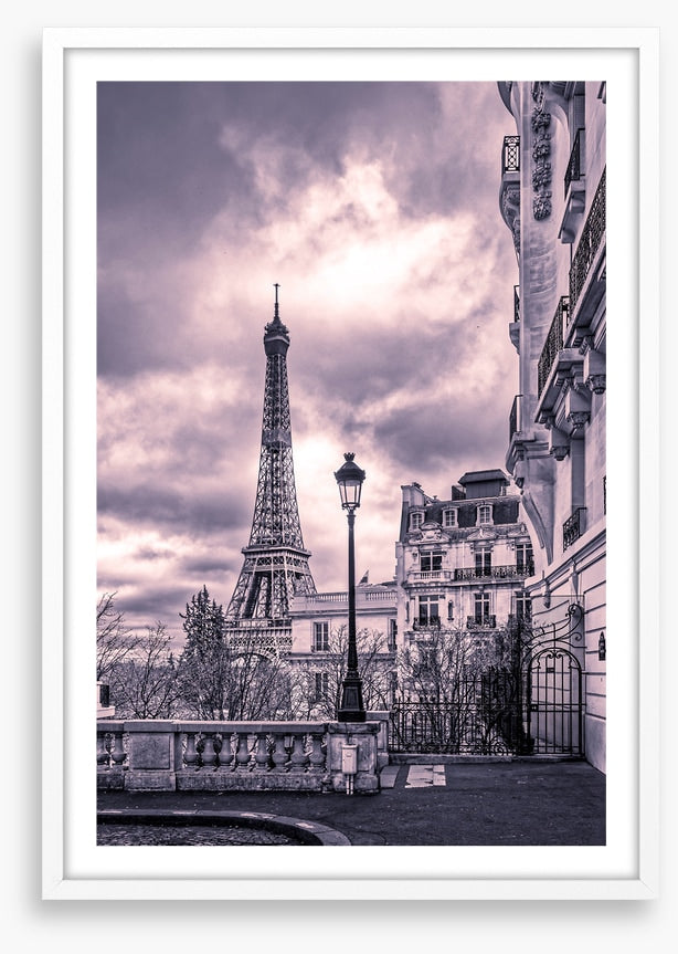 Purples of Paris
