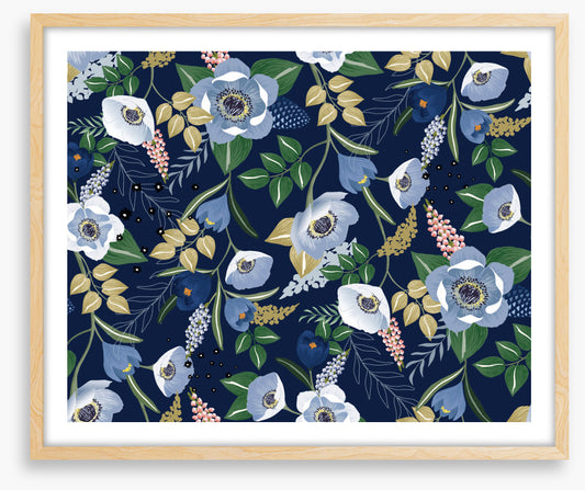 Blue crocus nights