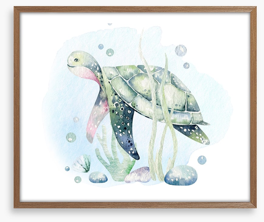 Softly softly sea turtle