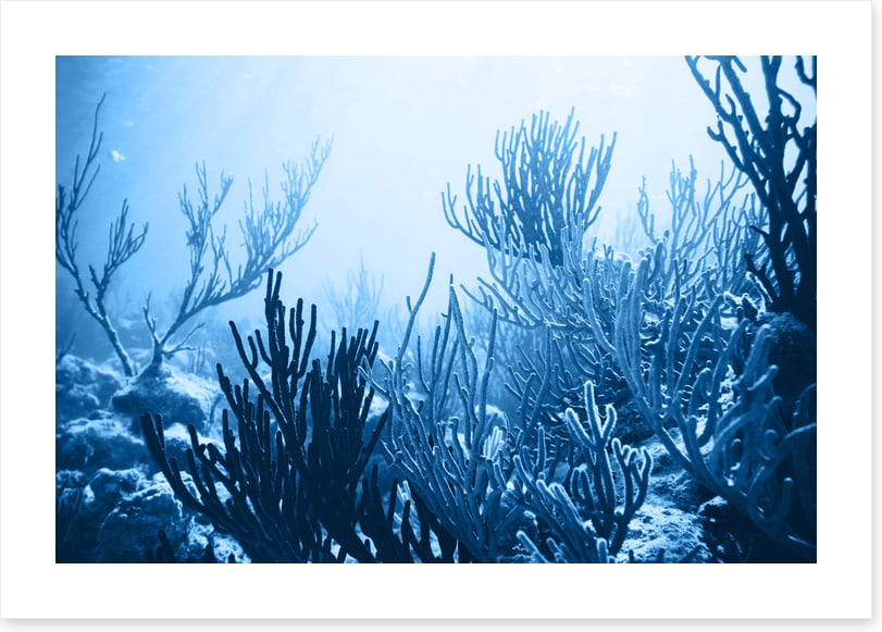 Underwater