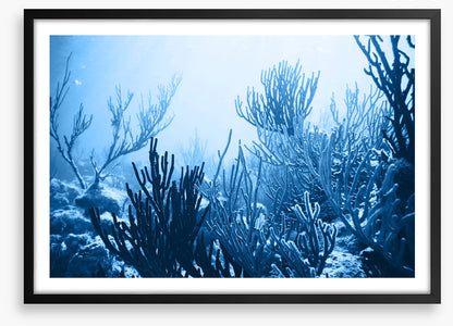 Underwater