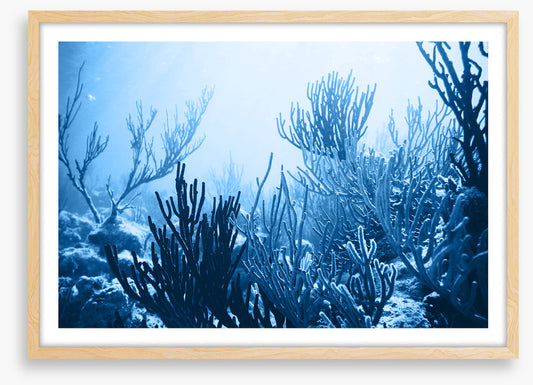 Underwater