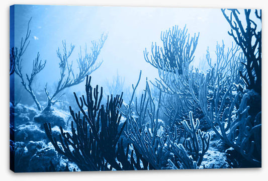 Underwater