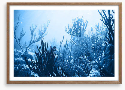 Underwater