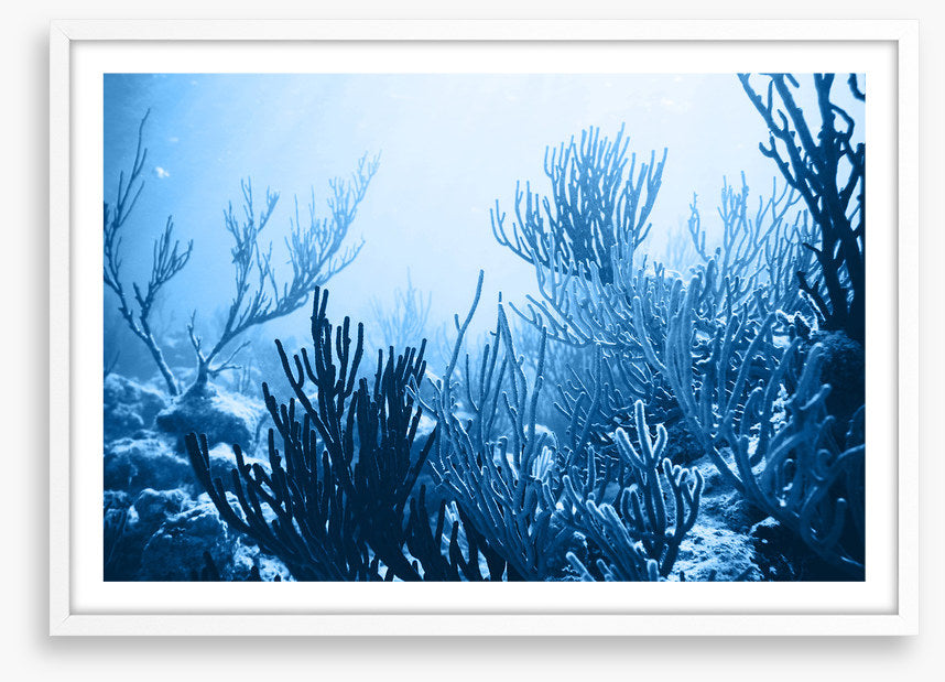 Underwater