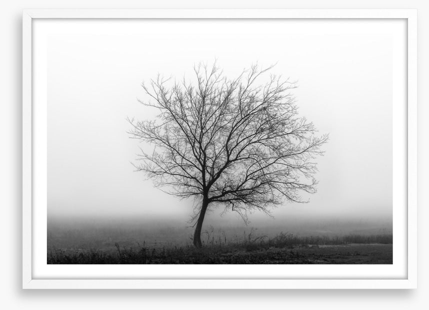 Silhouette of the season