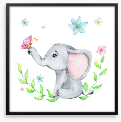 Elephants