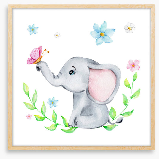 Elephants