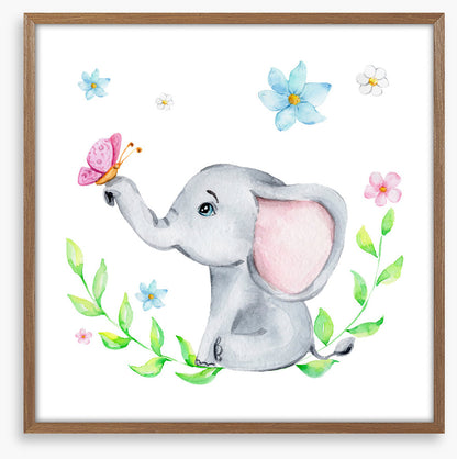 Elephants