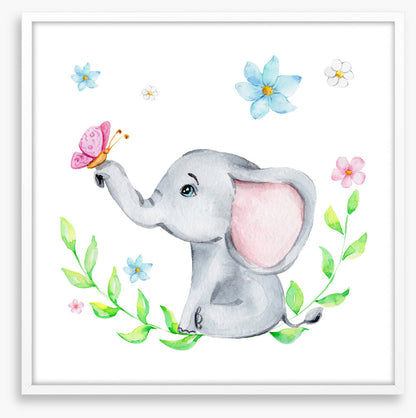 Elephants