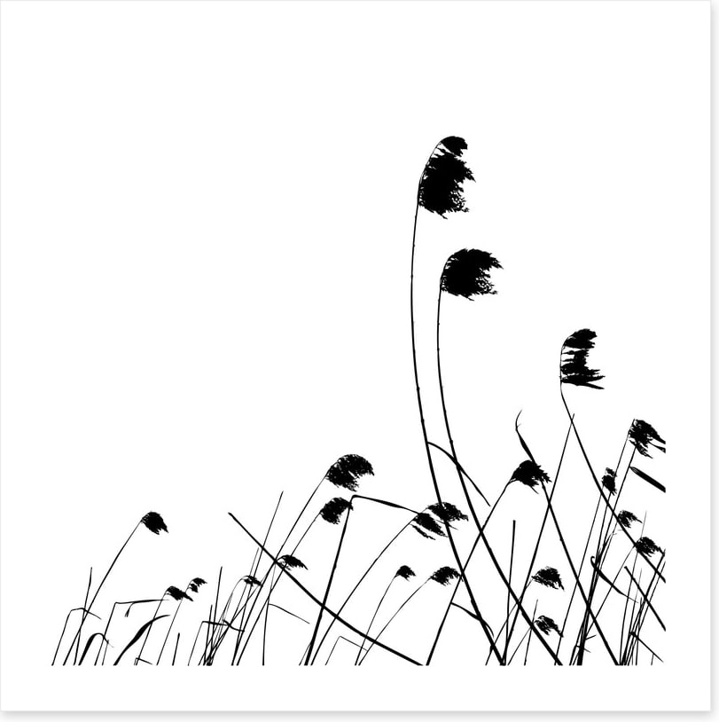 Blowing in the breeze