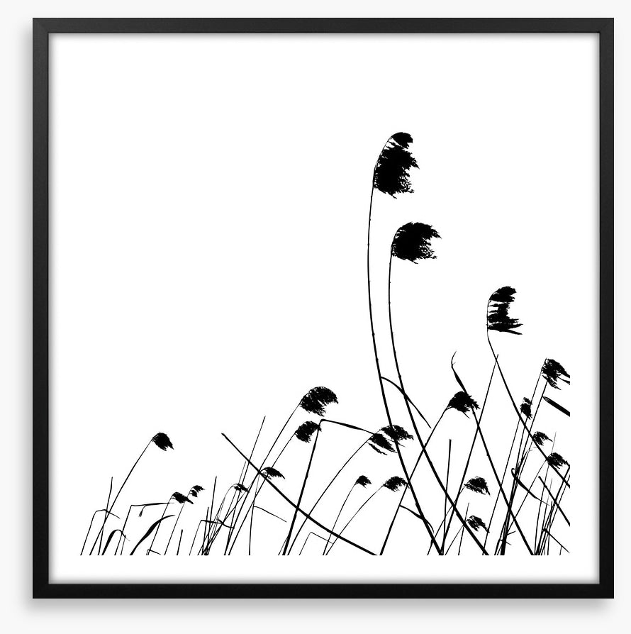 Blowing in the breeze
