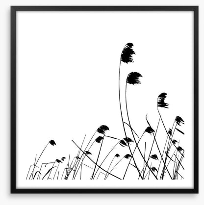 Blowing in the breeze