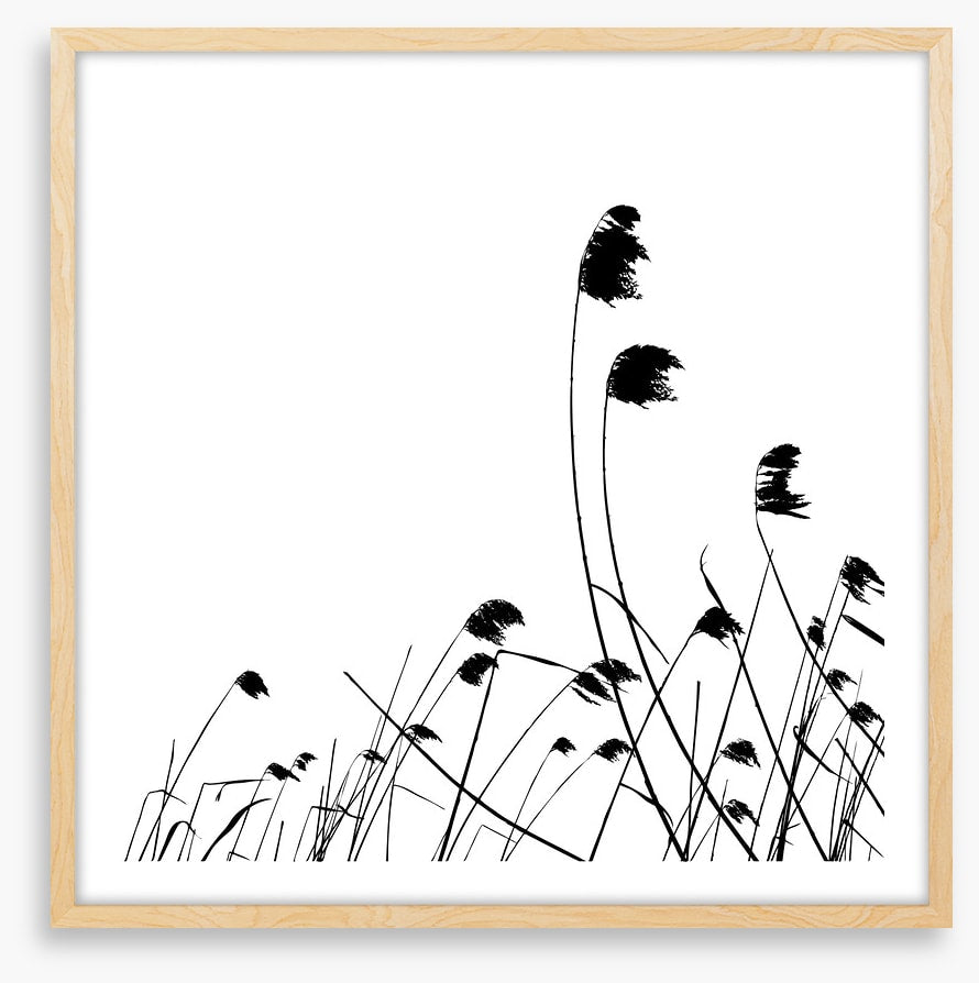 Blowing in the breeze