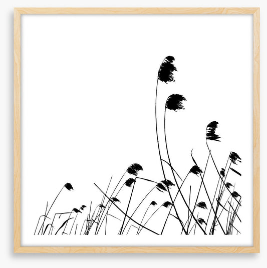 Blowing in the breeze