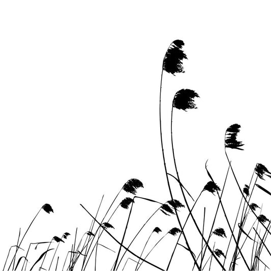 Blowing in the breeze