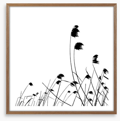Blowing in the breeze