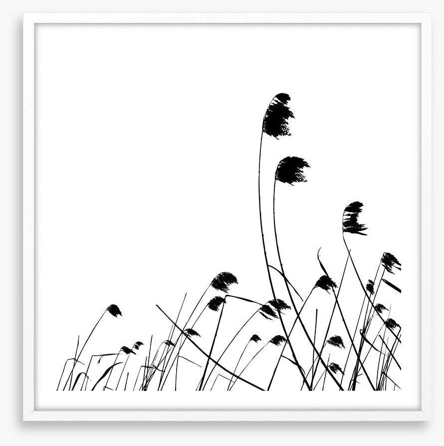 Blowing in the breeze