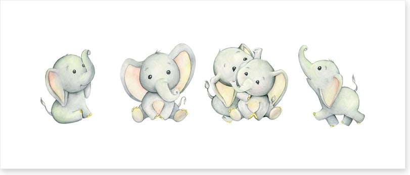 Little elephant panoramic