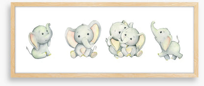 Little elephant panoramic