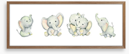 Little elephant panoramic