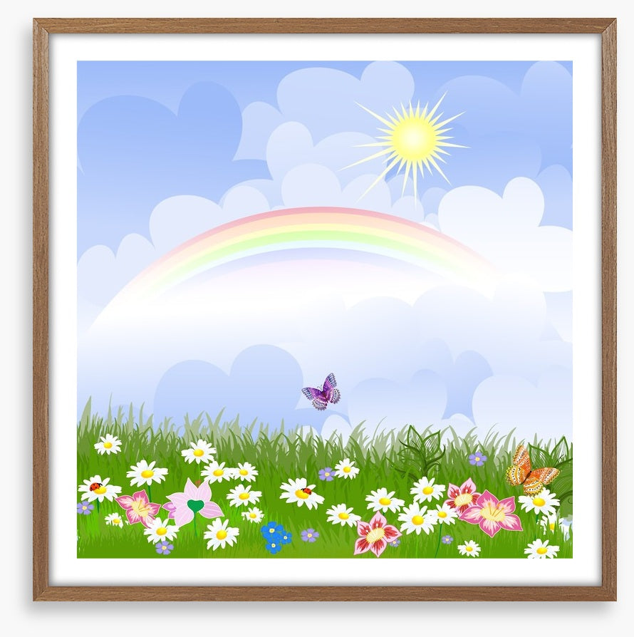 The rainbow meadow