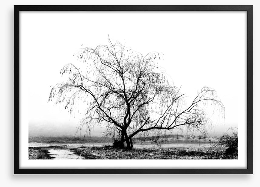 Silhouette by the stream