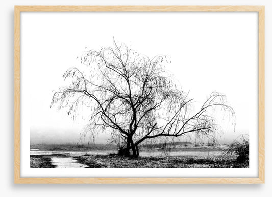 Silhouette by the stream