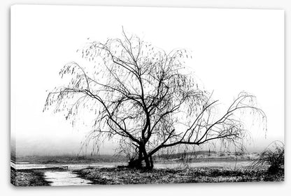 Silhouette by the stream