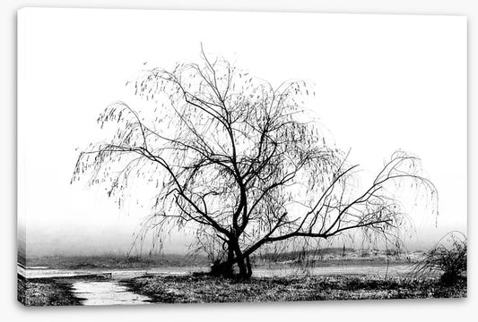 Silhouette by the stream