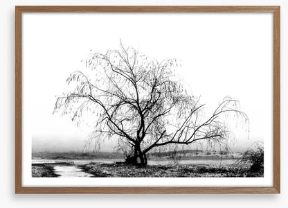 Silhouette by the stream