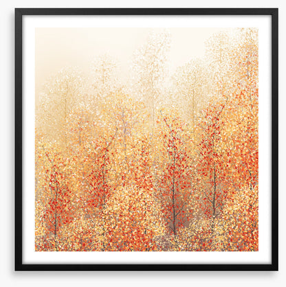All about autumn