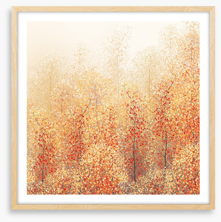 All about autumn